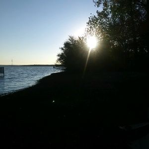 Meet your Posher, Bruce